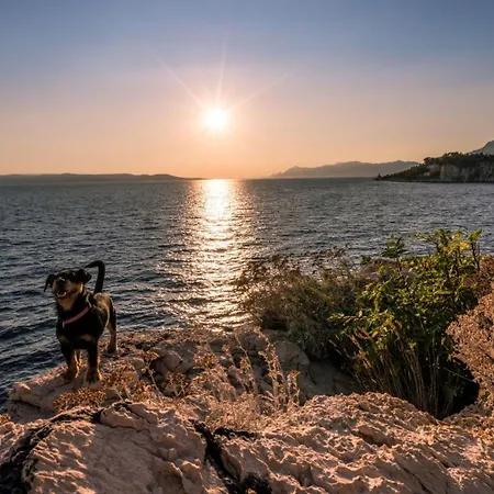Ivanda * Makarska