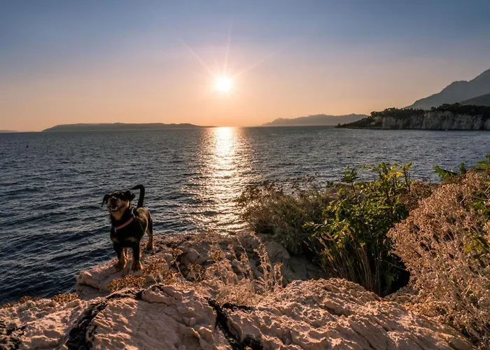 Ivanda * Makarska